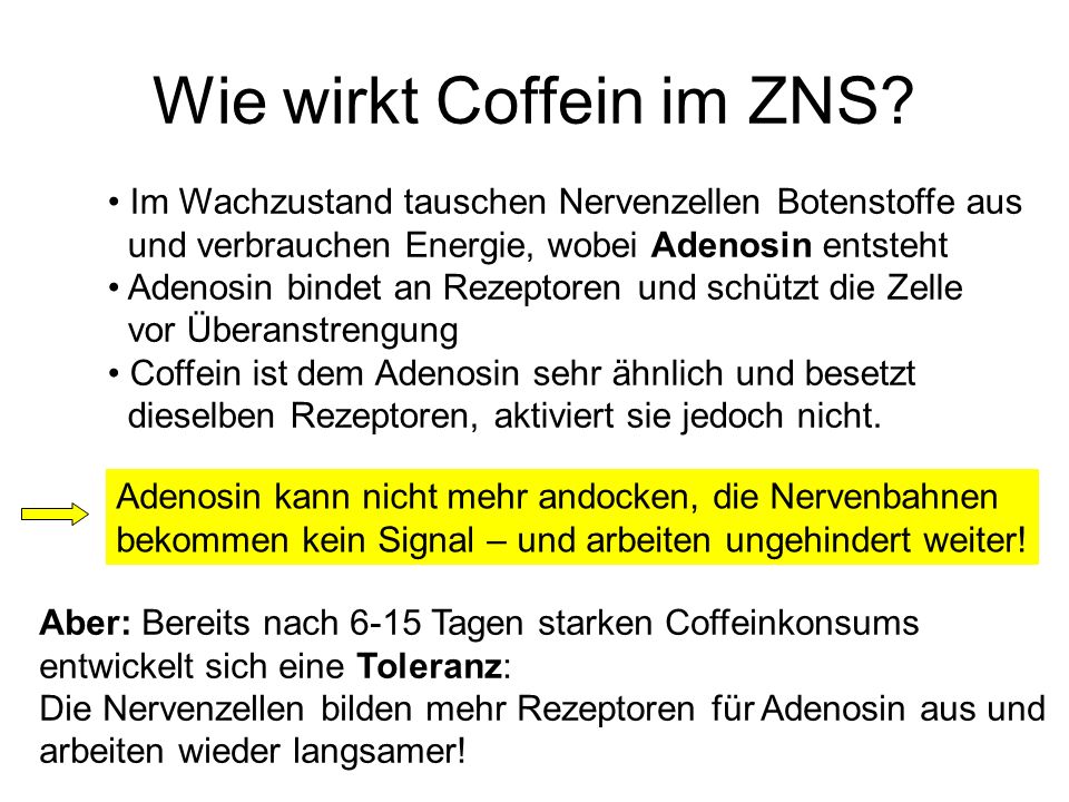 Die Ähnlichkeit und die Unterschiede des Alkoholismus und die Trunksucht
